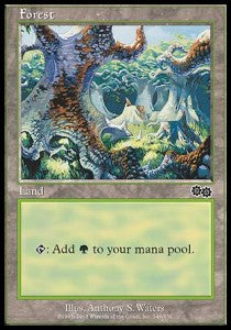 Forest (V.2) - Urza's Saga (Land) [USG-348]