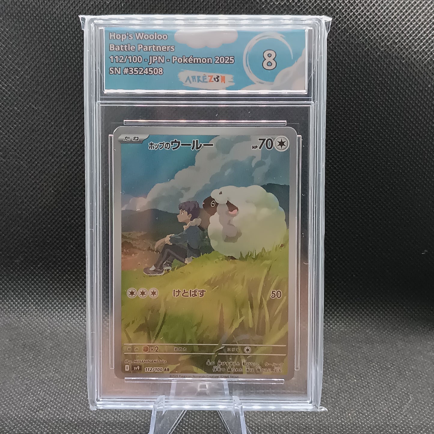Hop's Wooloo - Battle Partners (Illustration Rare) [sv9-112]